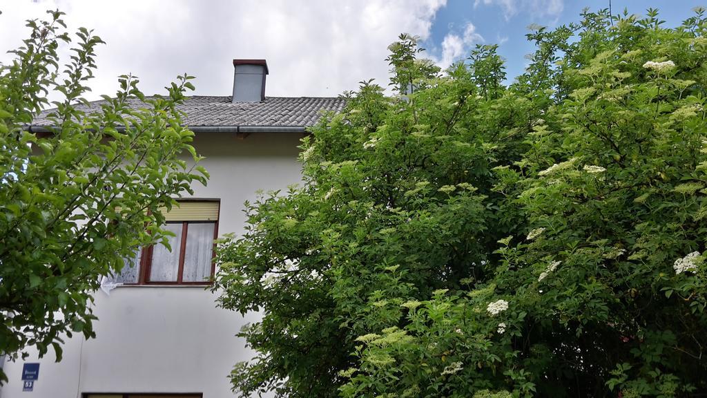 House Petkovic Hotel Korenica Exterior photo