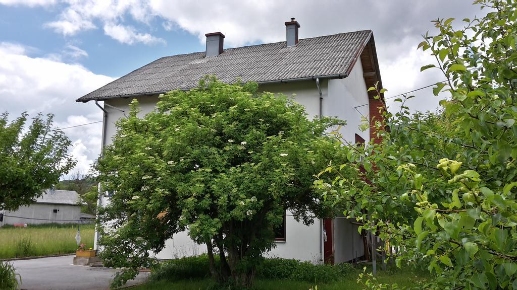 House Petkovic Hotel Korenica Exterior photo